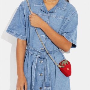 100% AUTHENTIC 🍓 BNWT Coach Strawberry Leather Coin Purse With Gold Chain